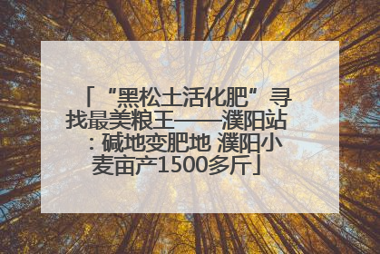 “黑松土活化肥”寻找最美粮王——濮阳站：碱地变肥地 濮阳小麦亩产1500多斤