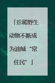 珍稀野生动物不断成为油城“常住民”