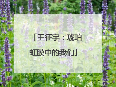 王征宇：琥珀虹膜中的我们
