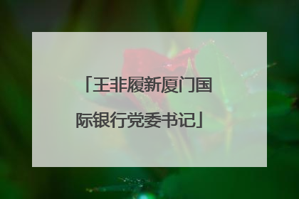 王非履新厦门国际银行党委书记