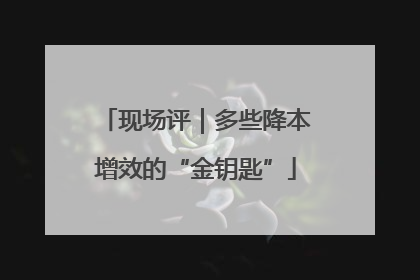 现场评｜多些降本增效的“金钥匙”