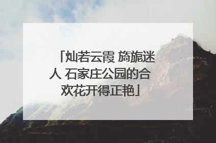 灿若云霞 旖旎迷人 石家庄公园的合欢花开得正艳