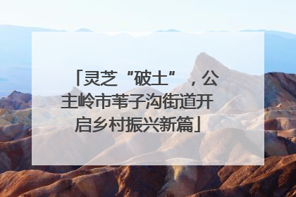 灵芝“破土”，公主岭市苇子沟街道开启乡村振兴新篇