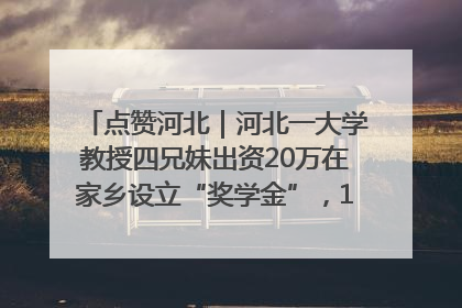 点赞河北｜河北一大学教授四兄妹出资20万在家乡设立“奖学金”，13年为320名农村学生种下“希望的种子”