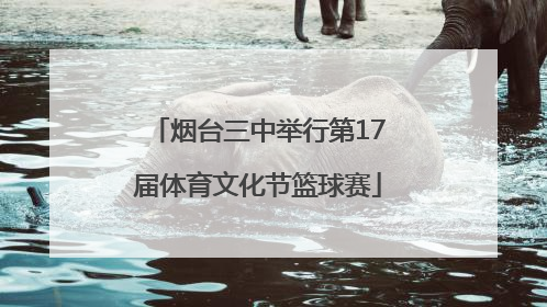 烟台三中举行第17届体育文化节篮球赛
