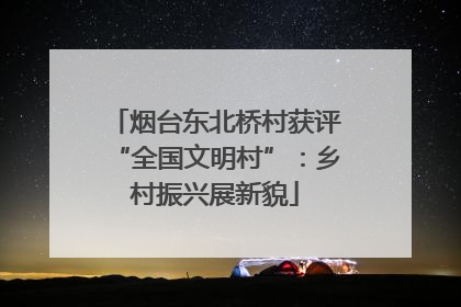 烟台东北桥村获评“全国文明村”：乡村振兴展新貌