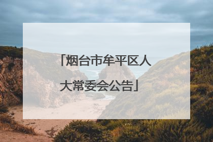 烟台市牟平区人大常委会公告