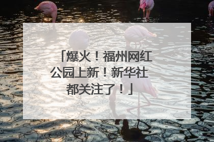 爆火！福州网红公园上新！新华社都关注了！