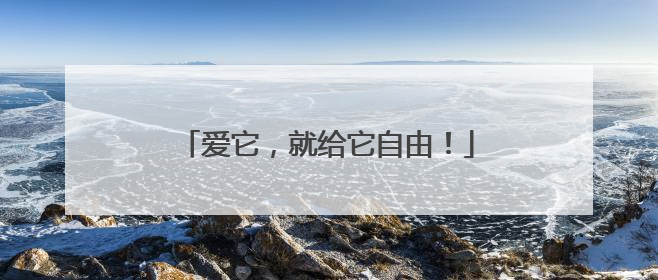 爱它，就给它自由！