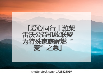 爱心同行丨潍柴雷沃公益机收联盟为特殊家庭解燃“麦”之急