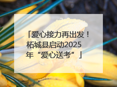 爱心接力再出发！柘城县启动2025年“爱心送考”