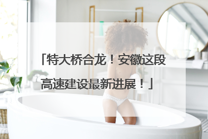 特大桥合龙！安徽这段高速建设最新进展！