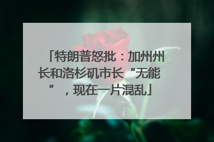 特朗普怒批：加州州长和洛杉矶市长“无能”，现在一片混乱