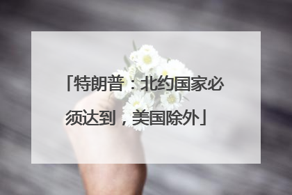 特朗普：北约国家必须达到，美国除外