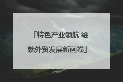 特色产业领航 绘就外贸发展新画卷