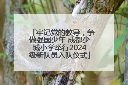 牢记党的教导，争做强国少年 成都少城小学举行2024级新队员入队仪式