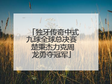 独牙传奇中式九球全球总决赛 楚秉杰力克周龙勇夺冠军