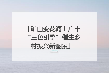 矿山变花海！广丰“三色引擎”催生乡村振兴新图景