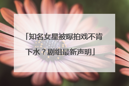 知名女星被曝拍戏不肯下水？剧组最新声明