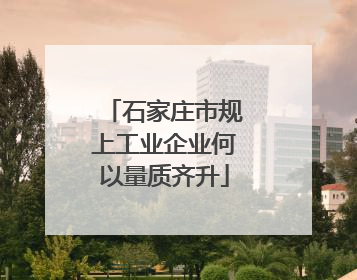 石家庄市规上工业企业何以量质齐升
