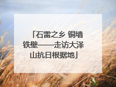 石雷之乡 铜墙铁壁——走访大泽山抗日根据地