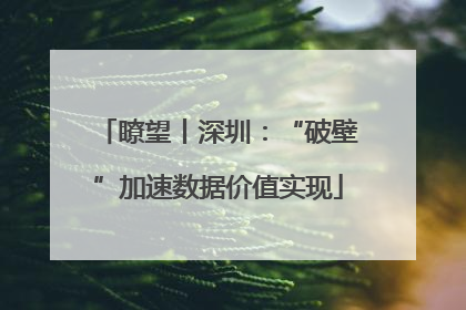 瞭望丨深圳：“破壁”加速数据价值实现