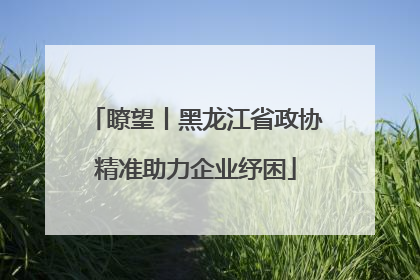 瞭望丨黑龙江省政协精准助力企业纾困