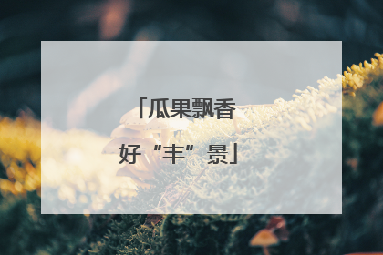 瓜果飘香 好“丰”景