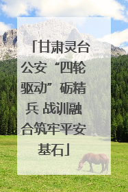 甘肃灵台公安“四轮驱动”砺精兵 战训融合筑牢平安基石