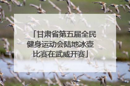 甘肃省第五届全民健身运动会陆地冰壶比赛在武威开赛
