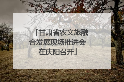 甘肃省农文旅融合发展现场推进会在庆阳召开
