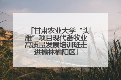 甘肃农业大学“头雁”项目现代畜牧业高质量发展培训班走进榆林榆阳区
