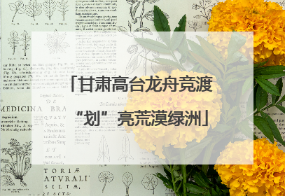 甘肃高台龙舟竞渡“划”亮荒漠绿洲
