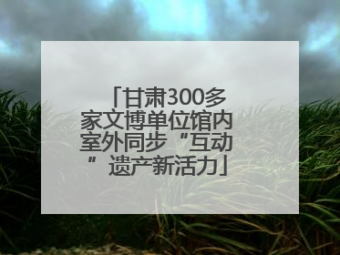 甘肃300多家文博单位馆内室外同步“互动”遗产新活力