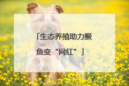 生态养殖助力鳜鱼变“网红”
