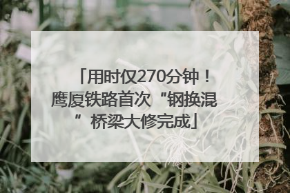 用时仅270分钟！鹰厦铁路首次“钢换混”桥梁大修完成