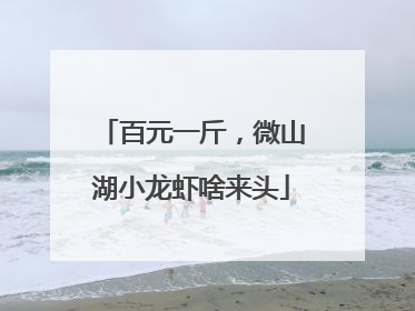 百元一斤，微山湖小龙虾啥来头