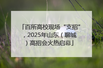 百所高校现场“支招”，2025年山东（聊城）高招会火热启幕