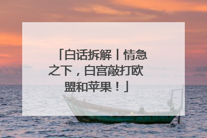 白话拆解丨情急之下，白宫敲打欧盟和苹果！