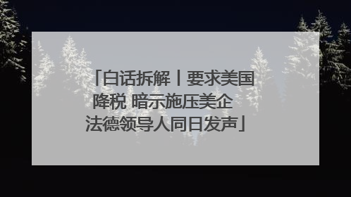 白话拆解丨要求美国降税 暗示施压美企 法德领导人同日发声