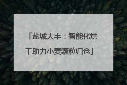 盐城大丰：智能化烘干助力小麦颗粒归仓