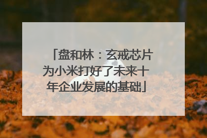 盘和林：玄戒芯片为小米打好了未来十年企业发展的基础