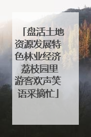 盘活土地资源发展特色林业经济 荔枝园里游客欢声笑语采摘忙