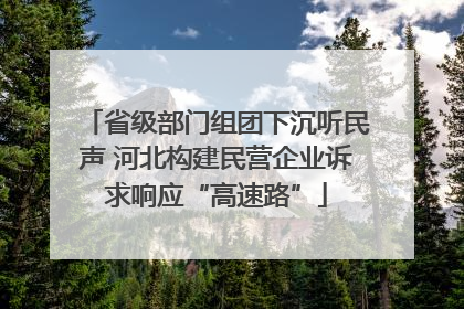 省级部门组团下沉听民声 河北构建民营企业诉求响应“高速路”
