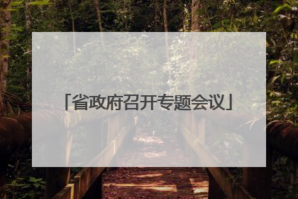 省政府召开专题会议