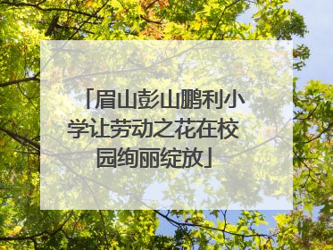 眉山彭山鹏利小学让劳动之花在校园绚丽绽放