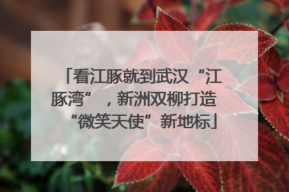 看江豚就到武汉“江豚湾”，新洲双柳打造“微笑天使”新地标
