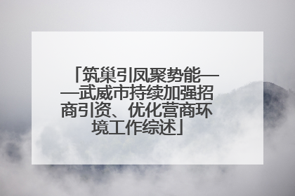 筑巢引凤聚势能——武威市持续加强招商引资、优化营商环境工作综述