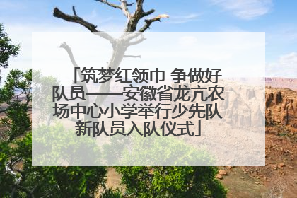 筑梦红领巾 争做好队员——安徽省龙亢农场中心小学举行少先队新队员入队仪式