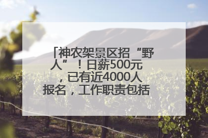神农架景区招“野人”！日薪500元，已有近4000人报名，工作职责包括“接受游客投喂”